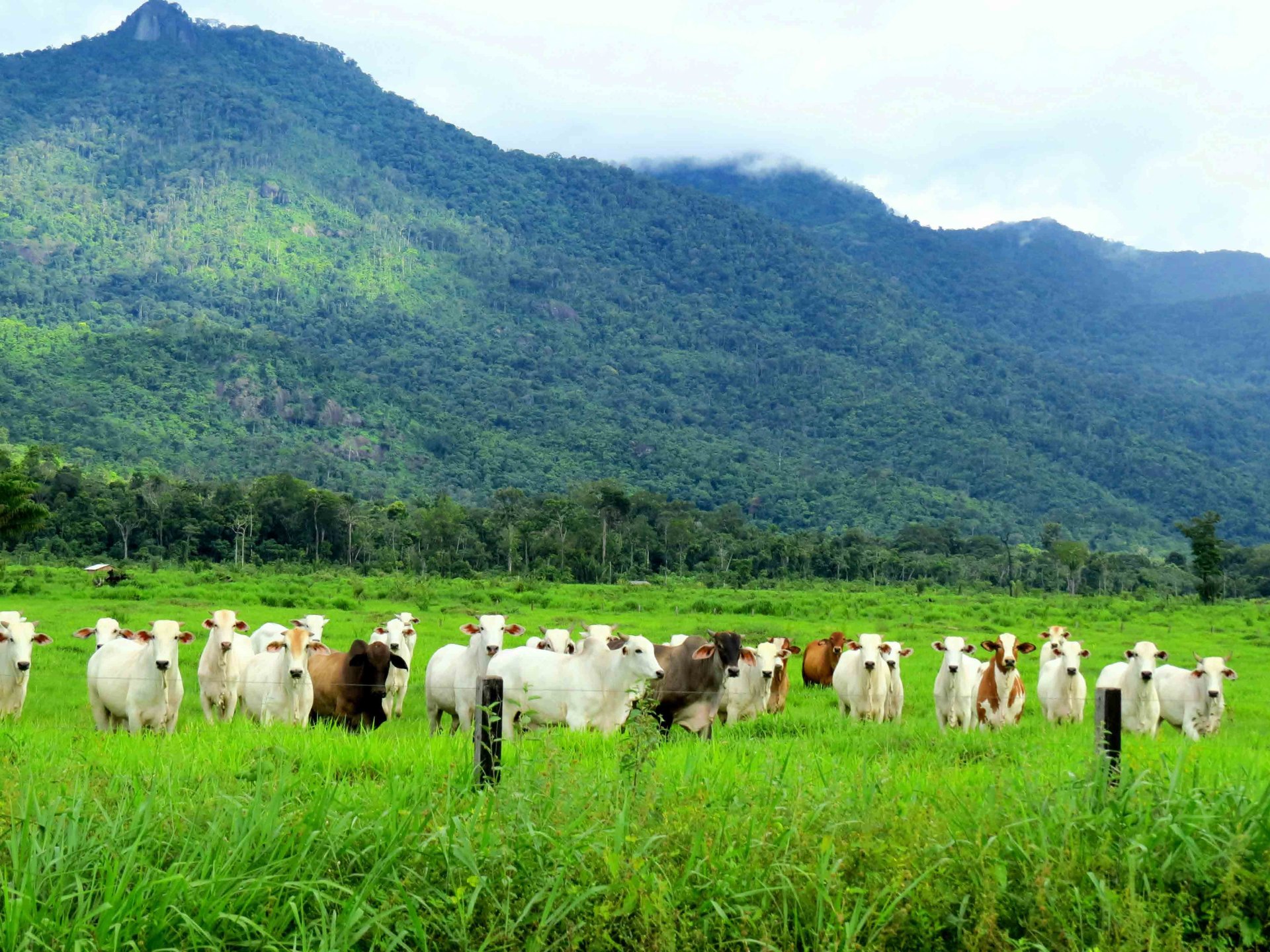 Organizações Fazenda KM